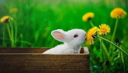 爱游戏tv-败者不馁，决心再战一场