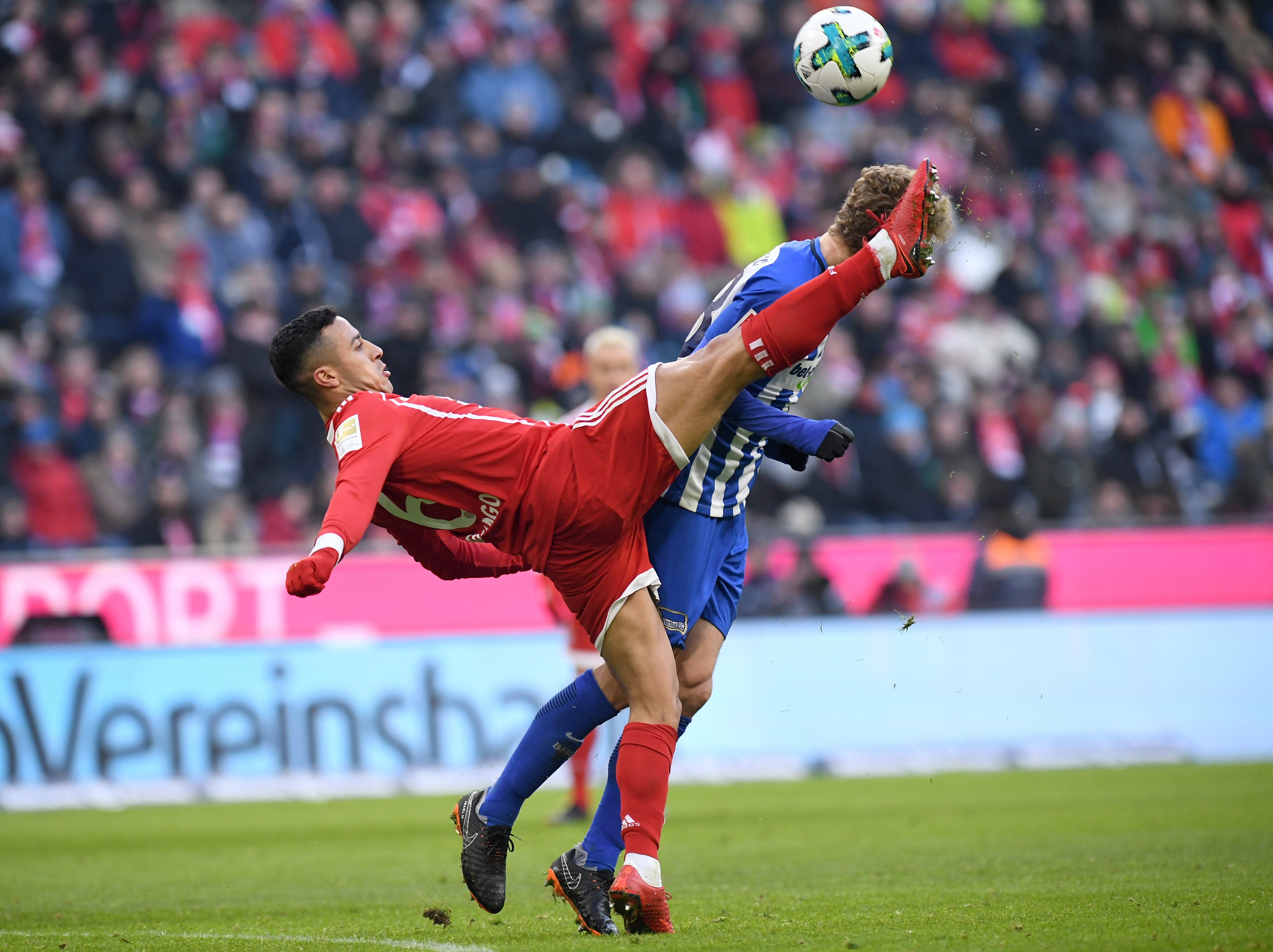 爱游戏入口-柏林赫塔队员膝伤告别本赛季，德甲升降级悬念仍存的简单介绍