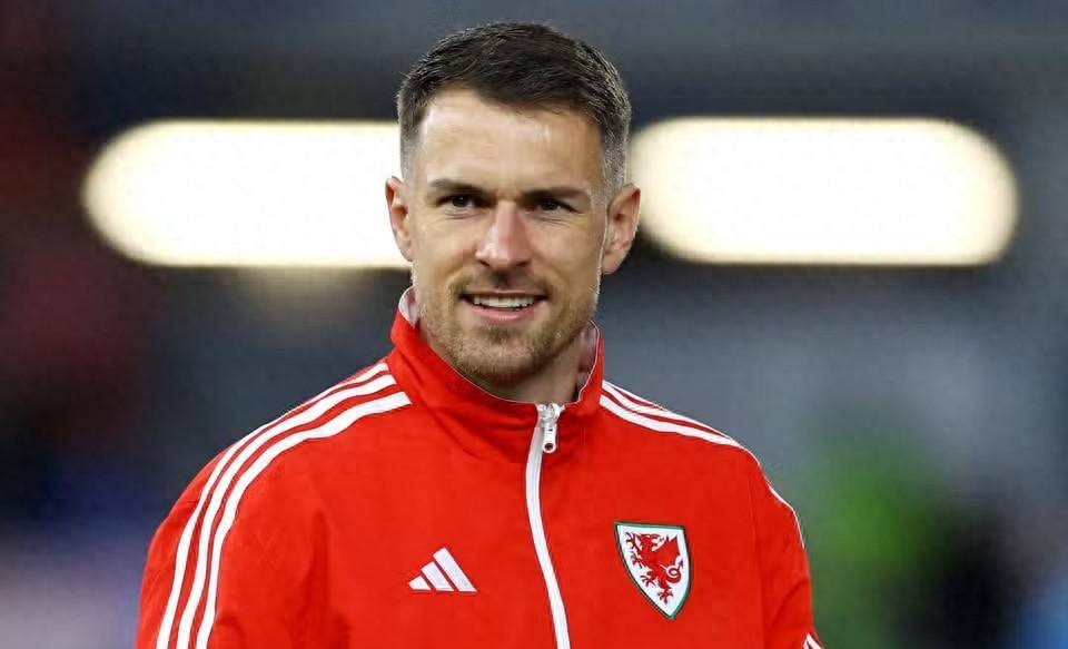 爱游戏APP-包含威尔士球员努力抗衡对手，但最终不敌挑战的词条