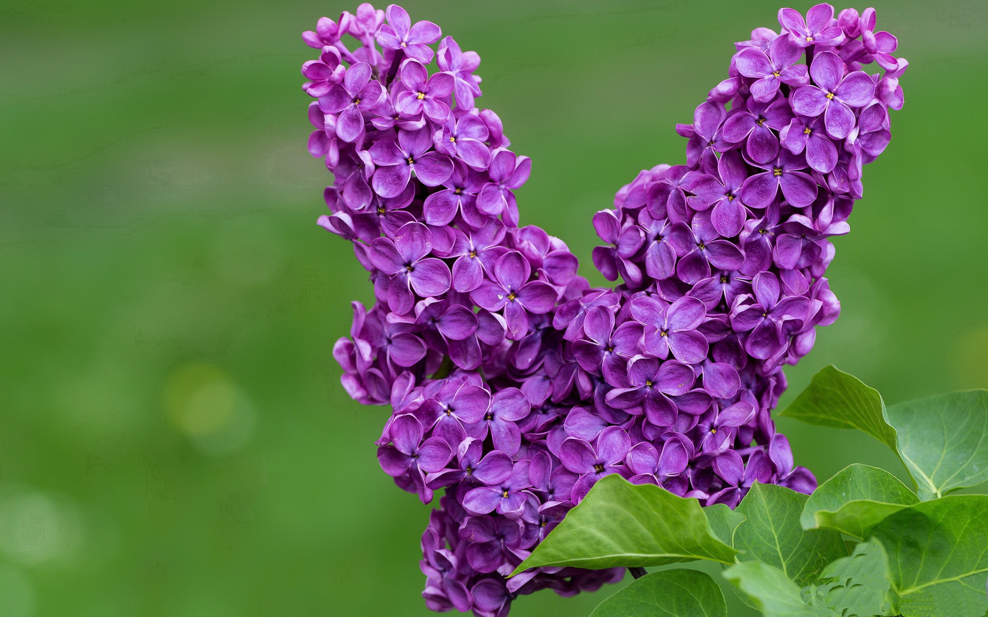 爱游戏下载-火力全开，从骑士团队压制到贝恩个人接管，竞技体育如何定义主宰时刻？