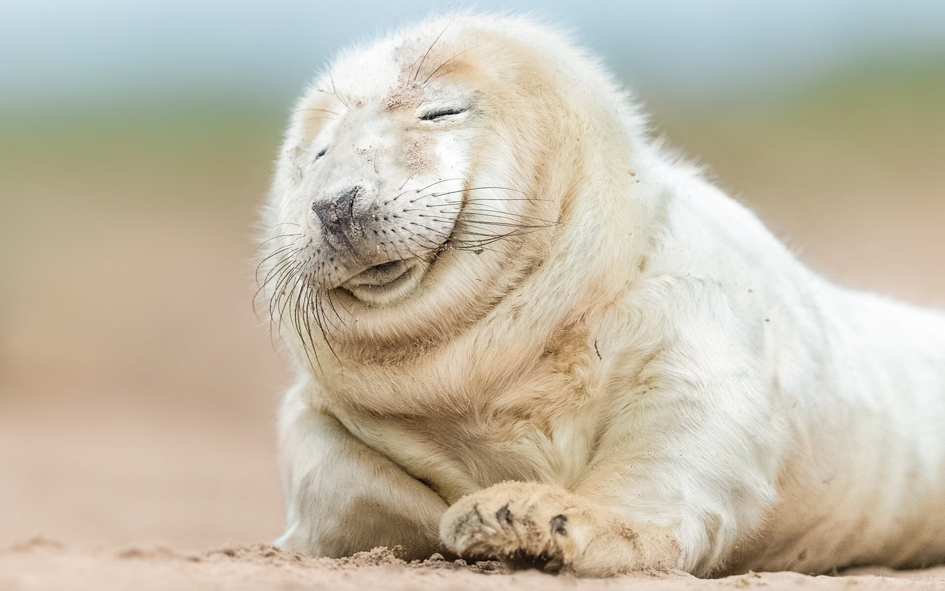 非典型英雄，当杰伦·格林的彩虹弧线击穿雄鹿铁幕