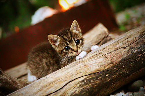 爱游戏娱乐-马刺逆转奇才！哈登关键先生力挽狂澜